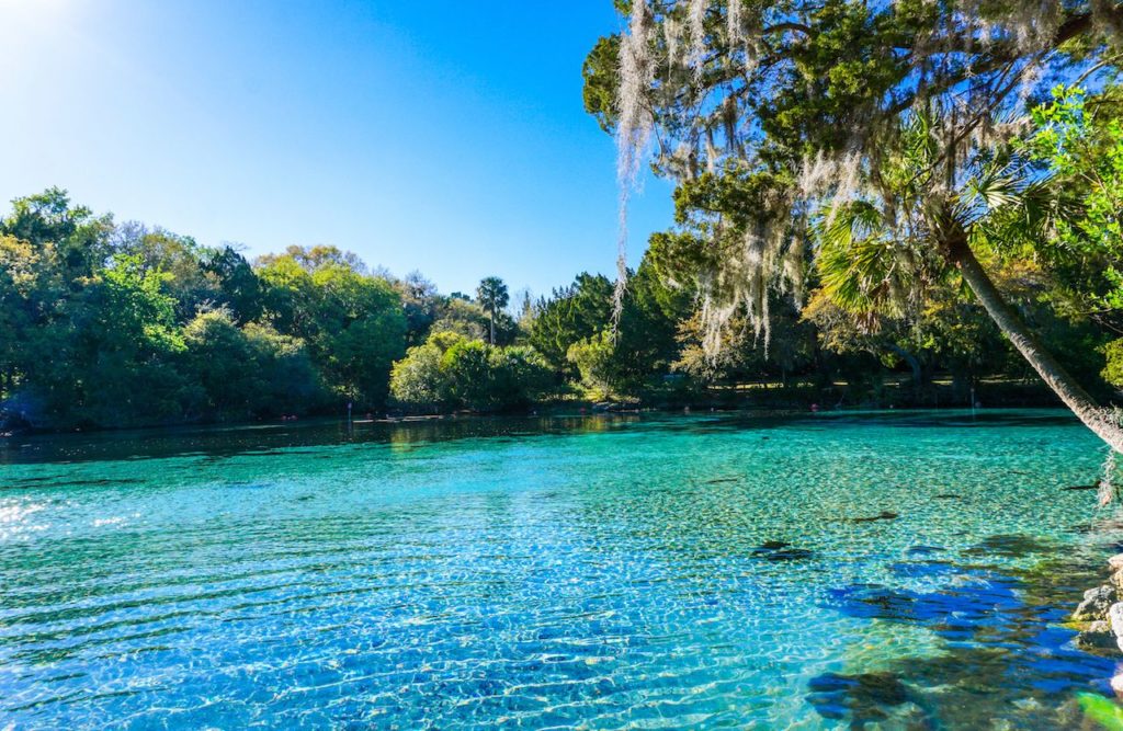 Ocala National Forest Florida Black Folks Camp Too