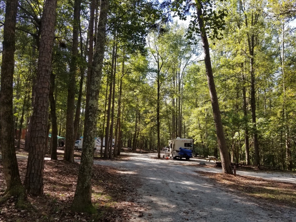 Croft State Park - Black Folks Camp Too